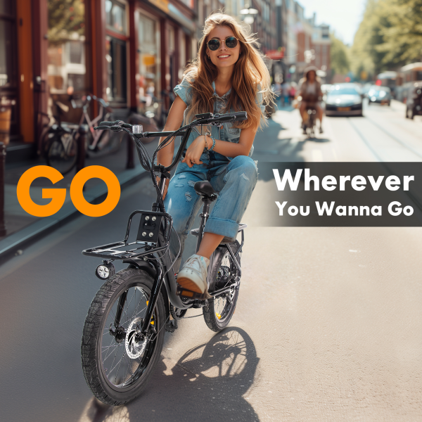 Ebike EB-01 Features