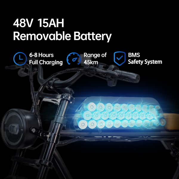 Ebike EM-02 Features